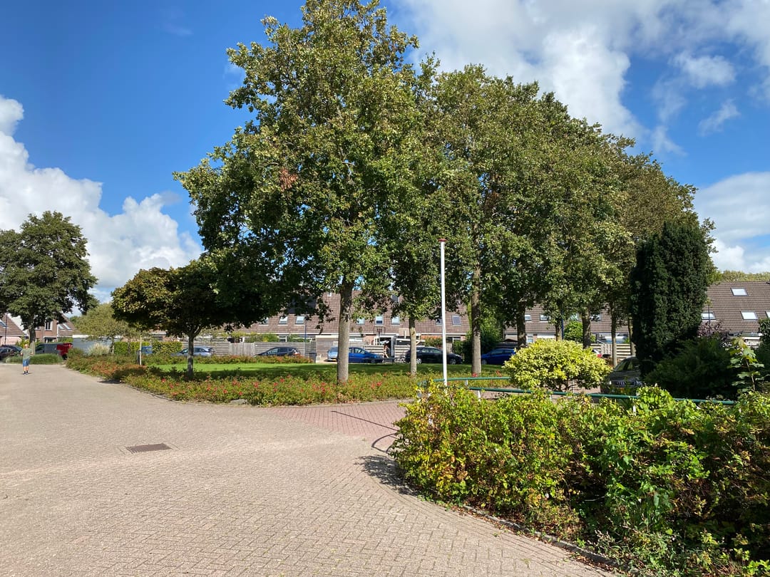 Foto 26 van De Leeuw 47