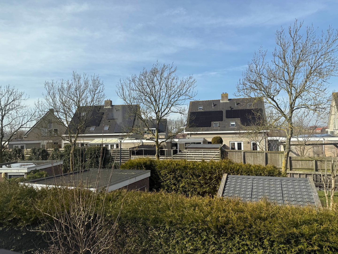 Foto 10 van De Leeuw 47