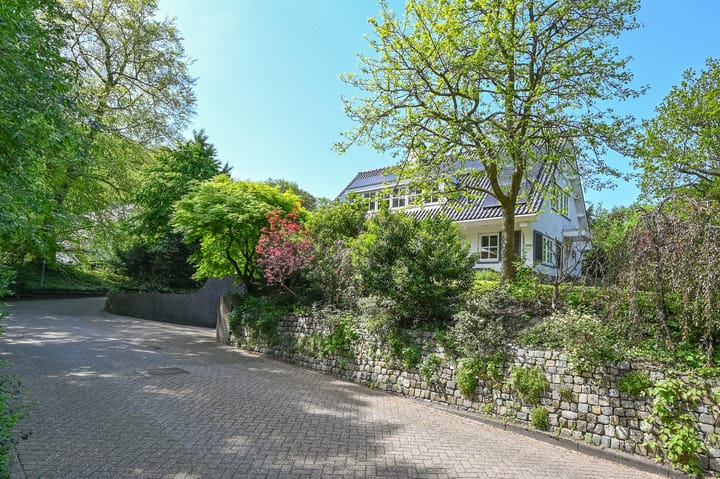 Foto 4 van Leonard Springerhof 8