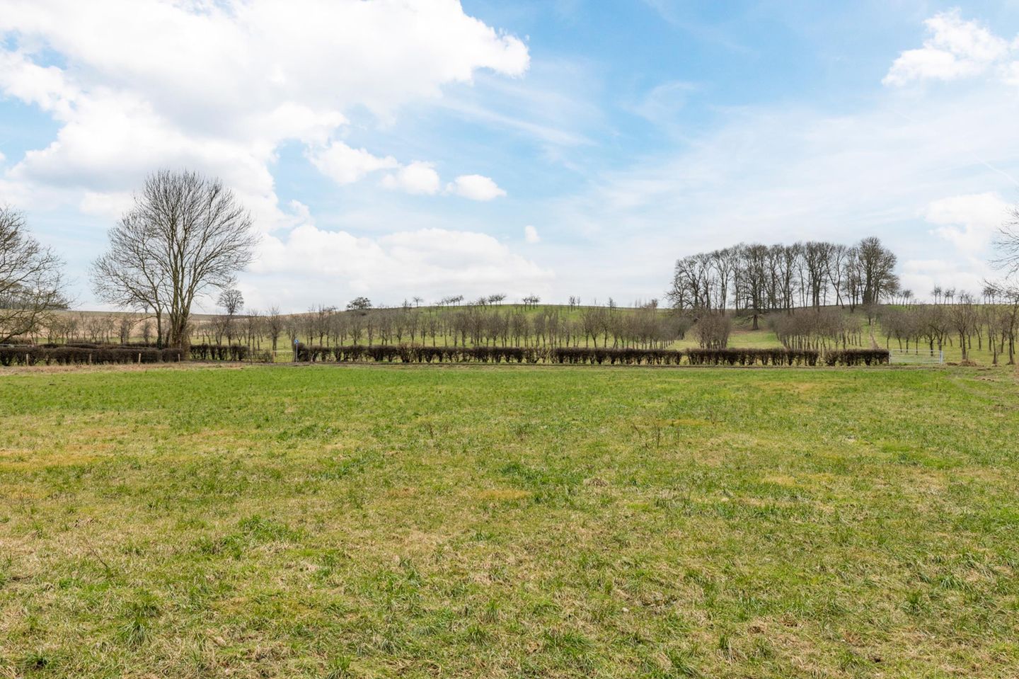 Foto 44 van Binsfelderhof 8