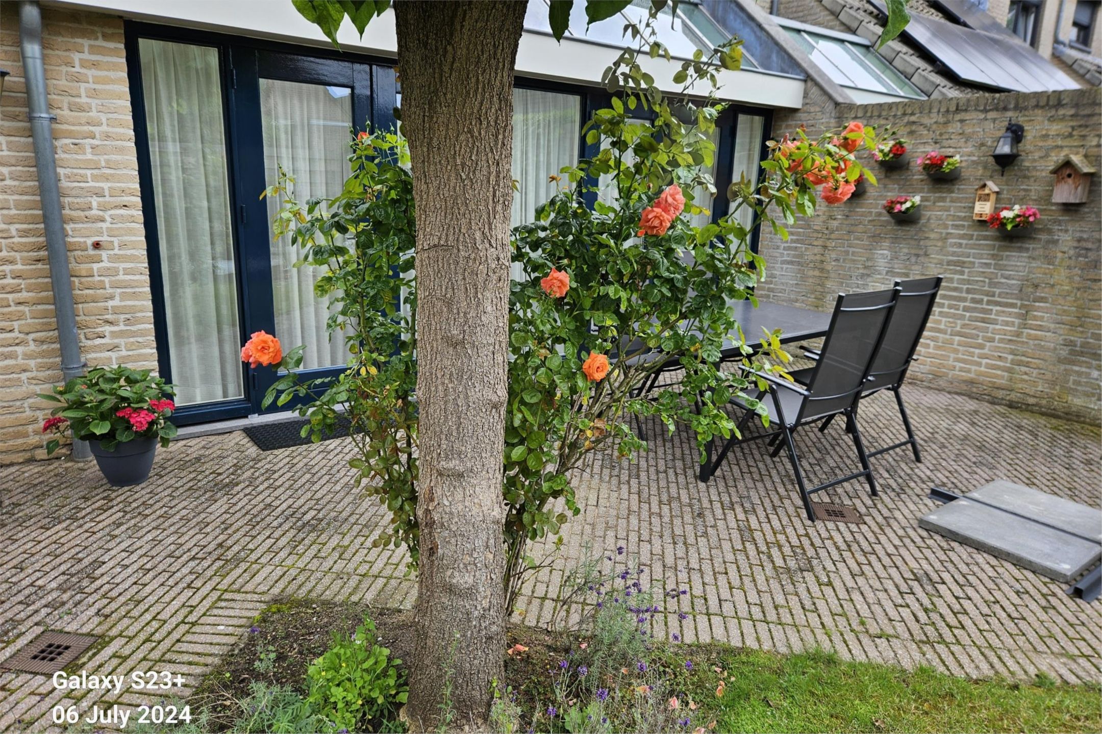 Foto 48 van Binsfelderhof 8