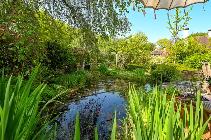 Foto 46 van Leonard Springerhof 8