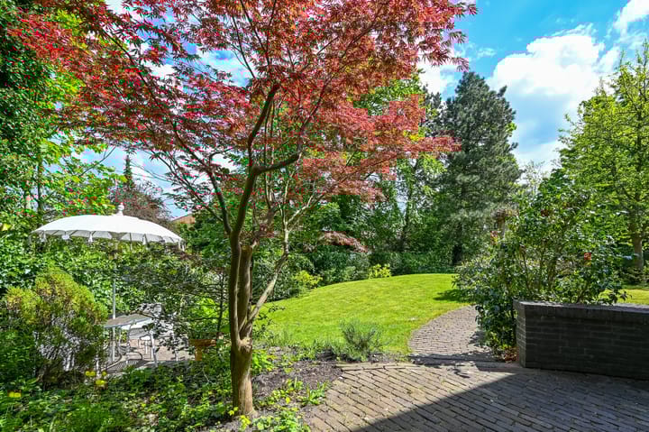 Foto 50 van Leonard Springerhof 8