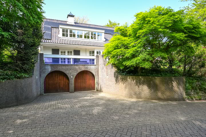 Foto 53 van Leonard Springerhof 8