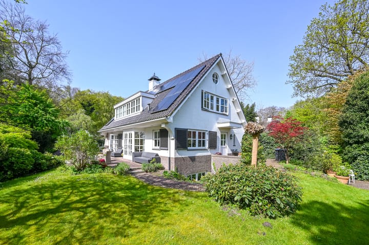 Foto 55 van Leonard Springerhof 8