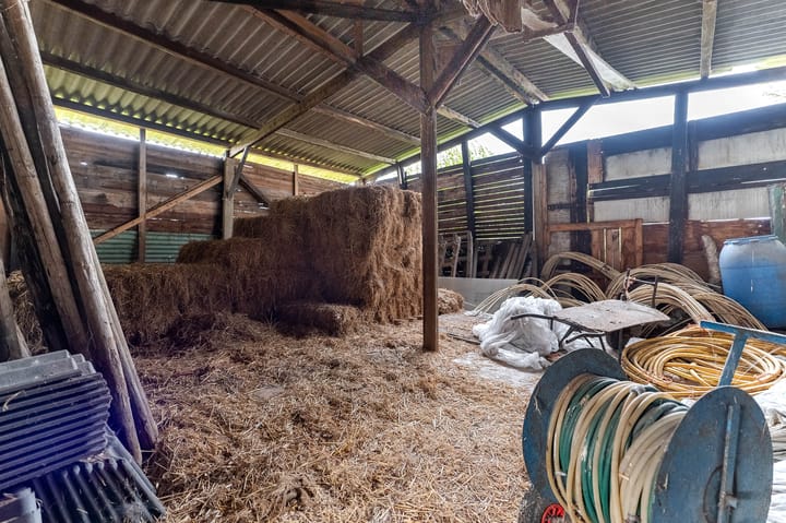 Foto 38 van Biezenstraat 32