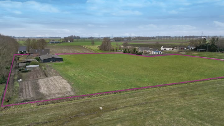 Foto 54 van Biezenstraat 32