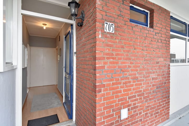 Foto 8 van Hengelolaan 705