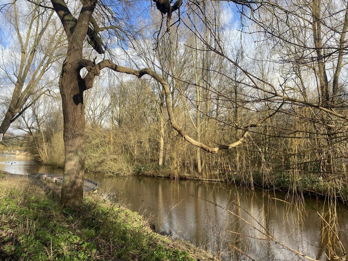 Foto 14 van Einsteinplaats 1145