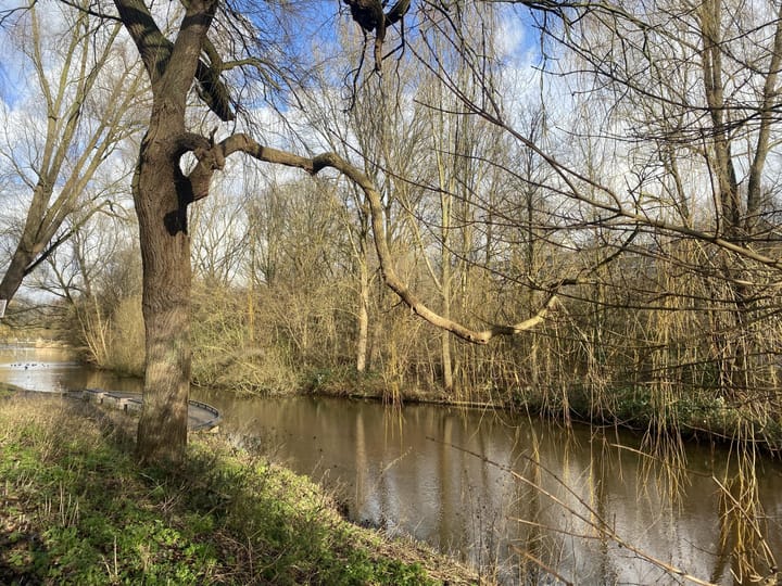 Foto 14 van Einsteinplaats 1145