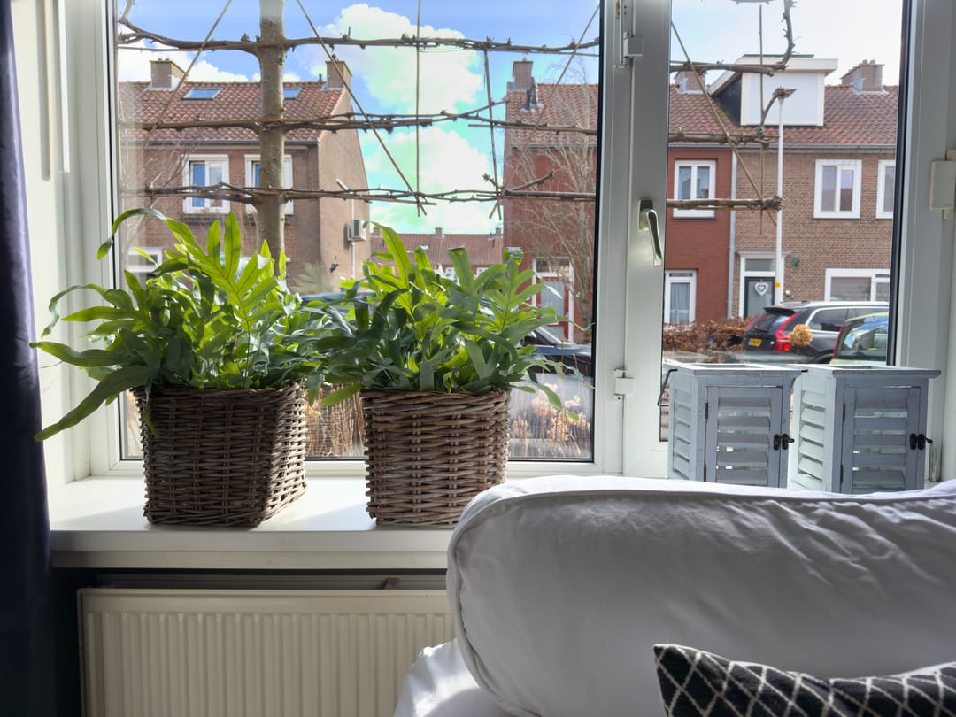 Foto 2 van Prunusstraat 12