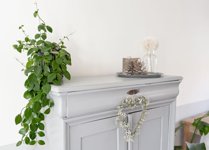 Foto 5 van Prunusstraat 12