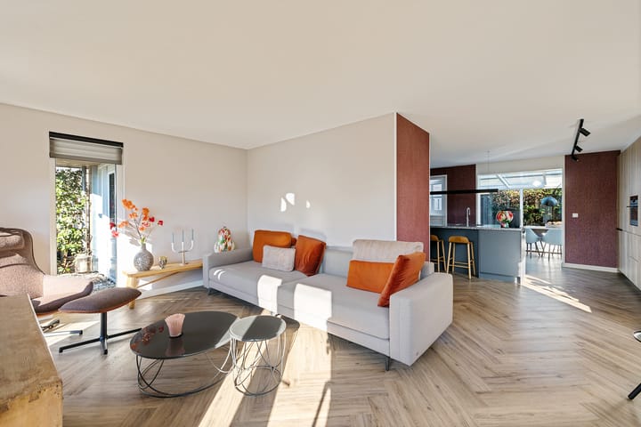 Foto 2 van Grijze Kraai 65