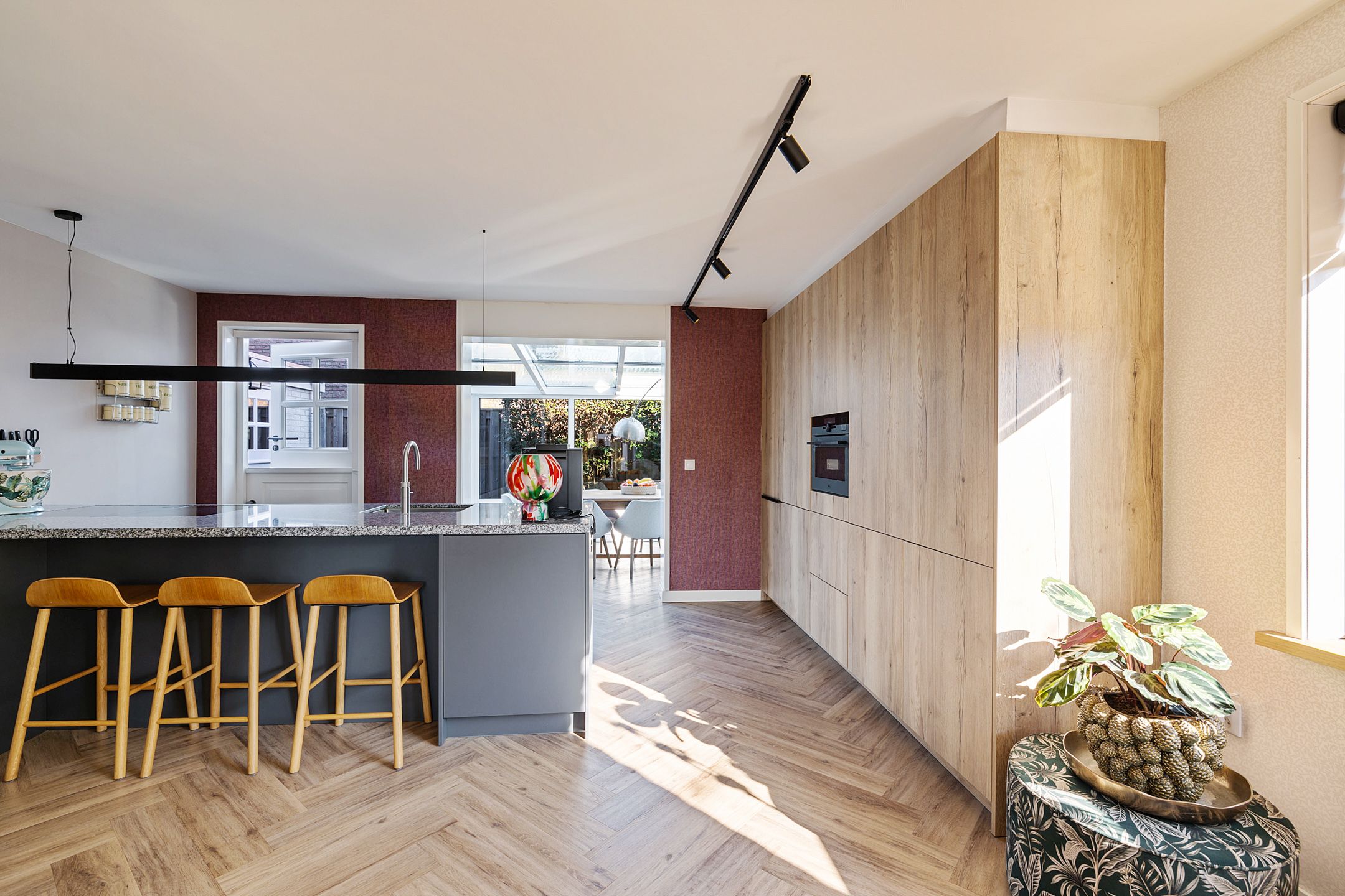 Foto 3 van Grijze Kraai 65