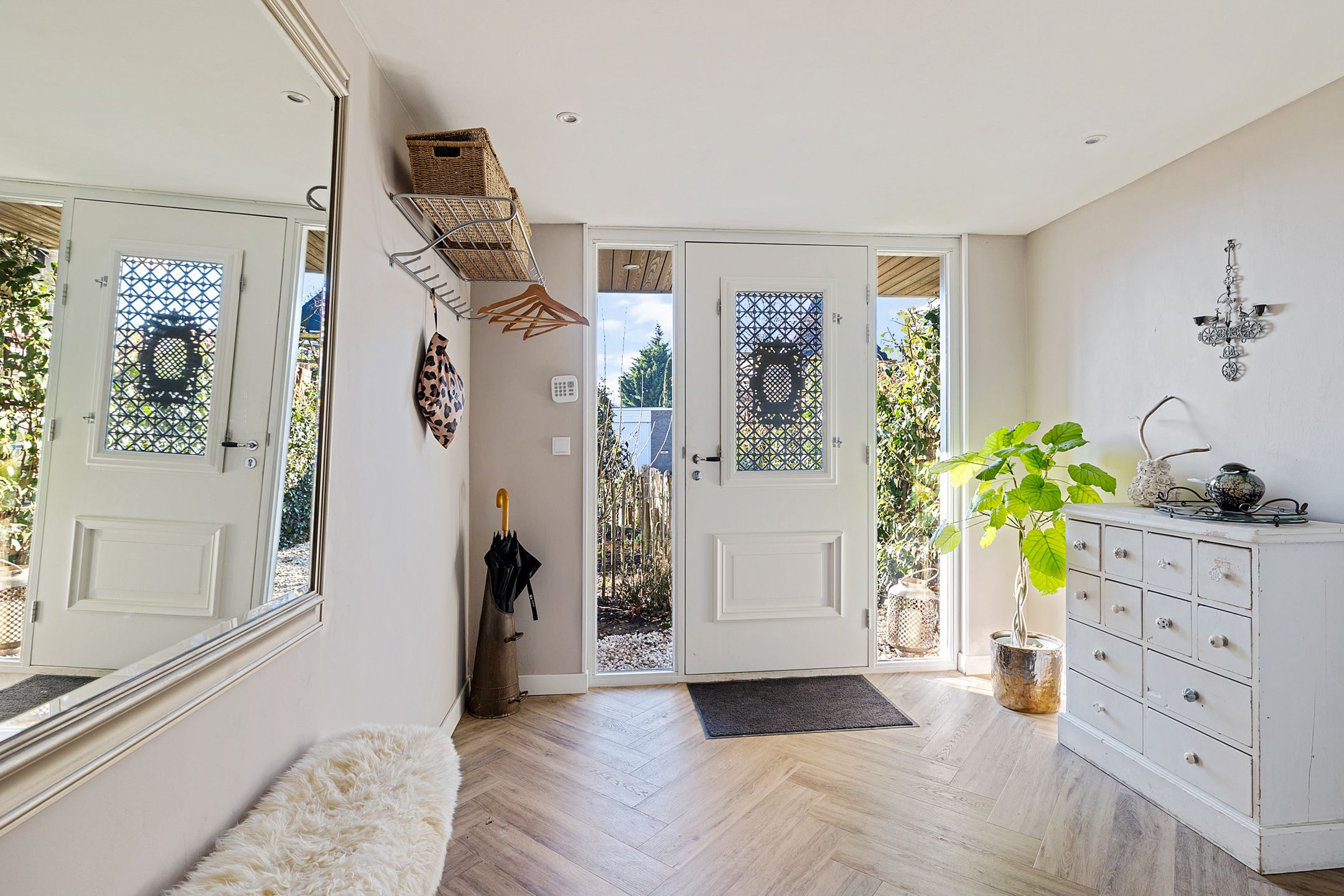 Foto 6 van Grijze Kraai 65