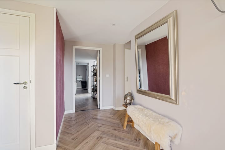 Foto 7 van Grijze Kraai 65