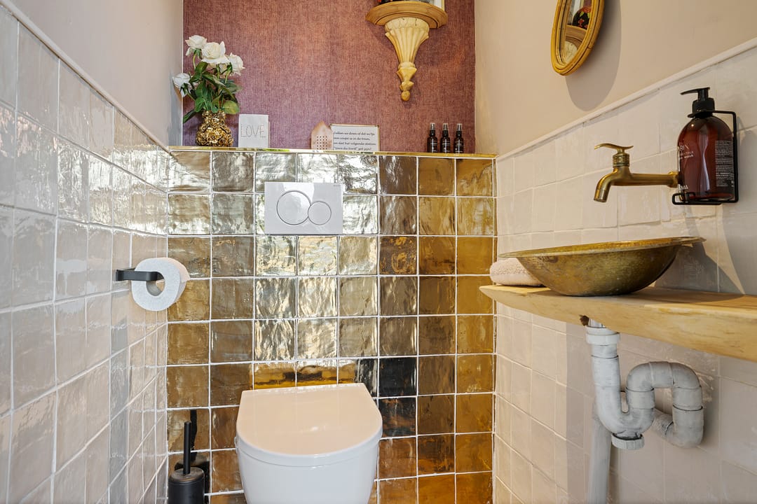 Foto 8 van Grijze Kraai 65