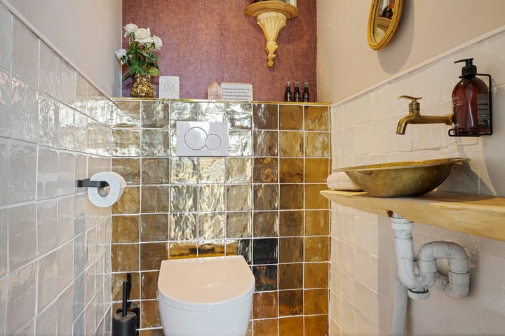 Foto 8 van Grijze Kraai 65