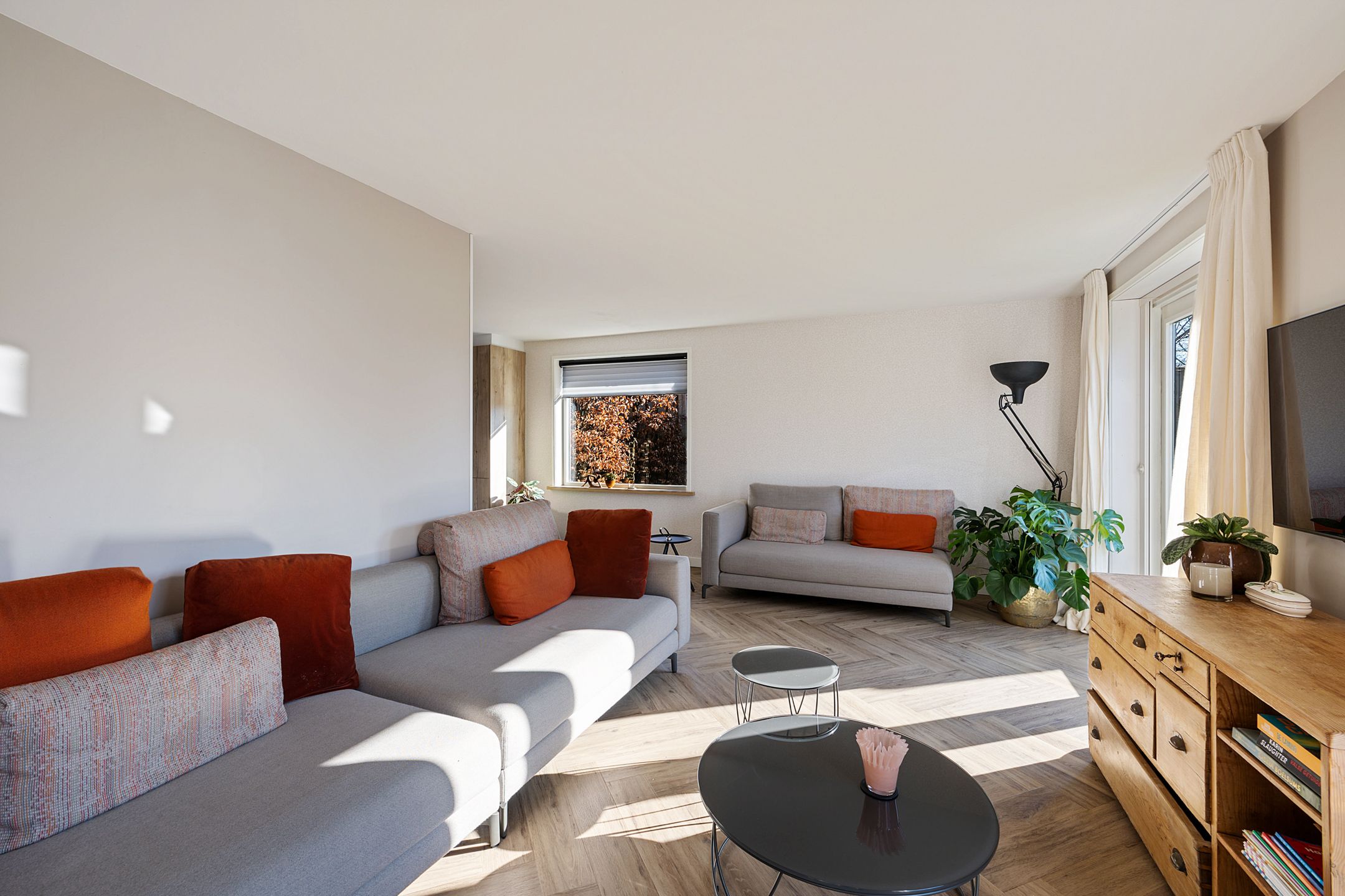 Foto 15 van Grijze Kraai 65