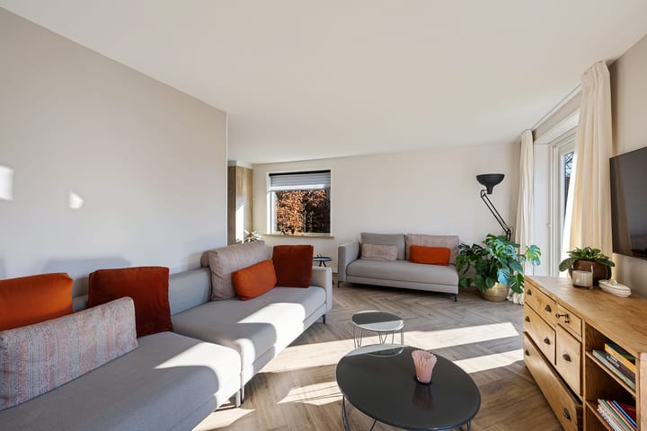 Foto 15 van Grijze Kraai 65