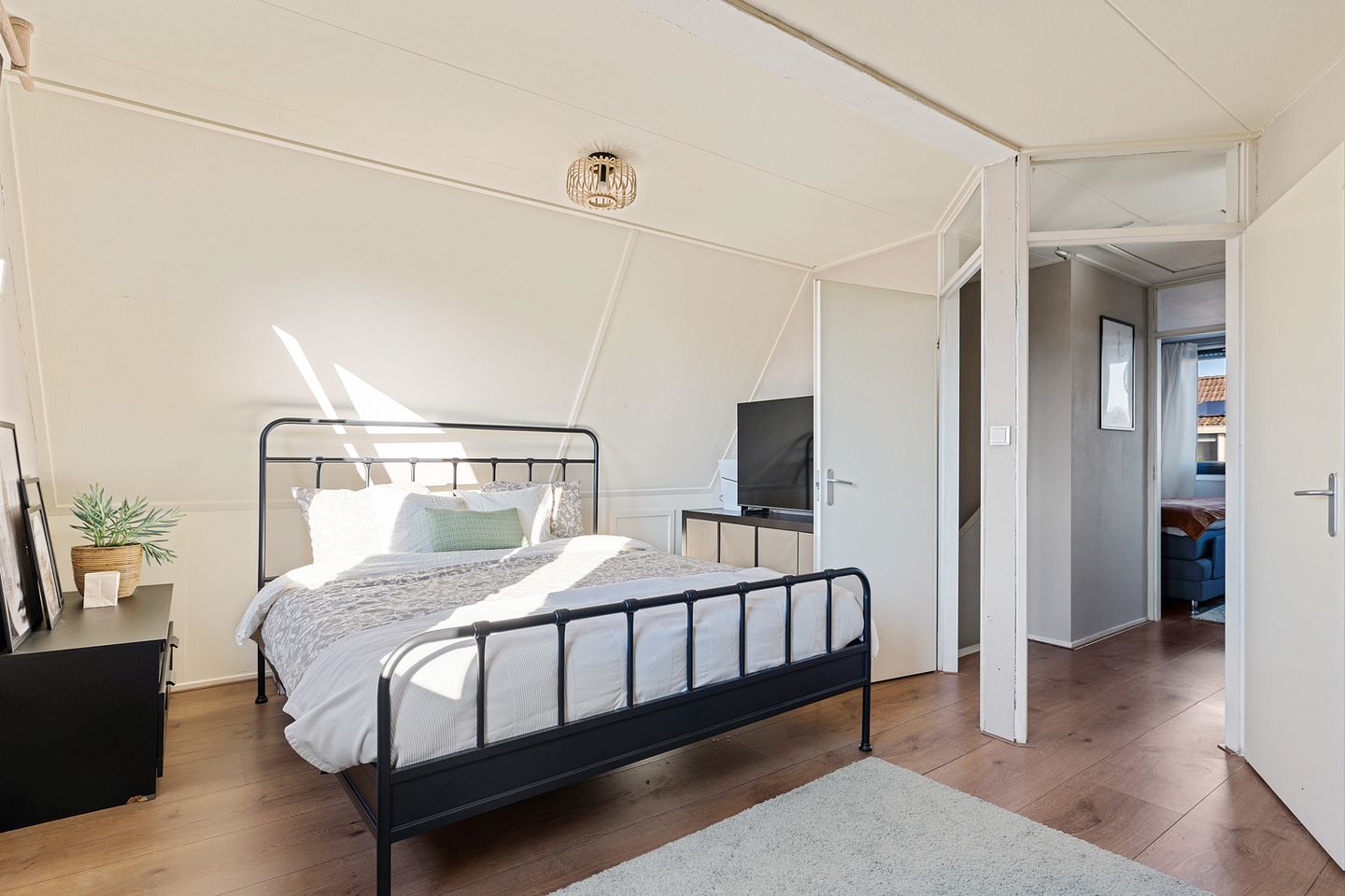 Foto 20 van Grijze Kraai 65