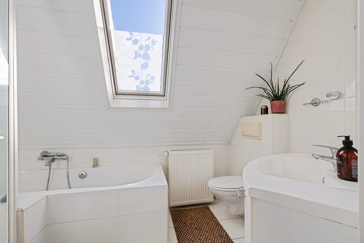 Foto 22 van Grijze Kraai 65