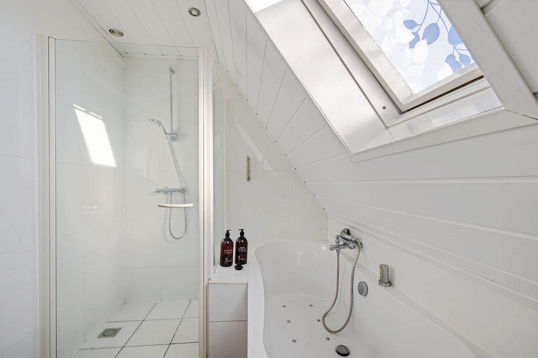 Foto 23 van Grijze Kraai 65