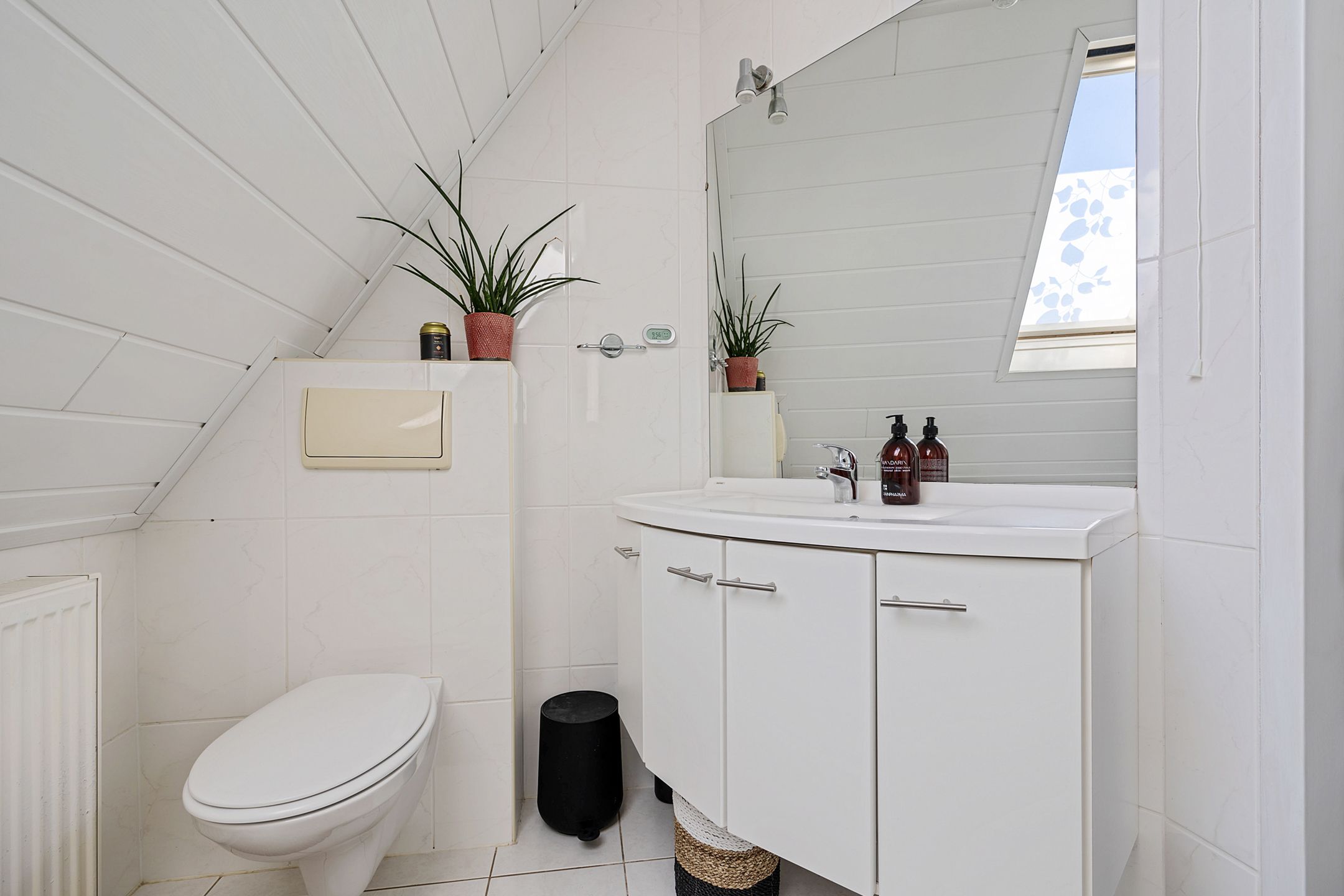 Foto 24 van Grijze Kraai 65