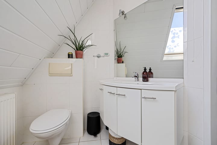 Foto 24 van Grijze Kraai 65