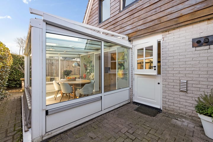 Foto 34 van Grijze Kraai 65