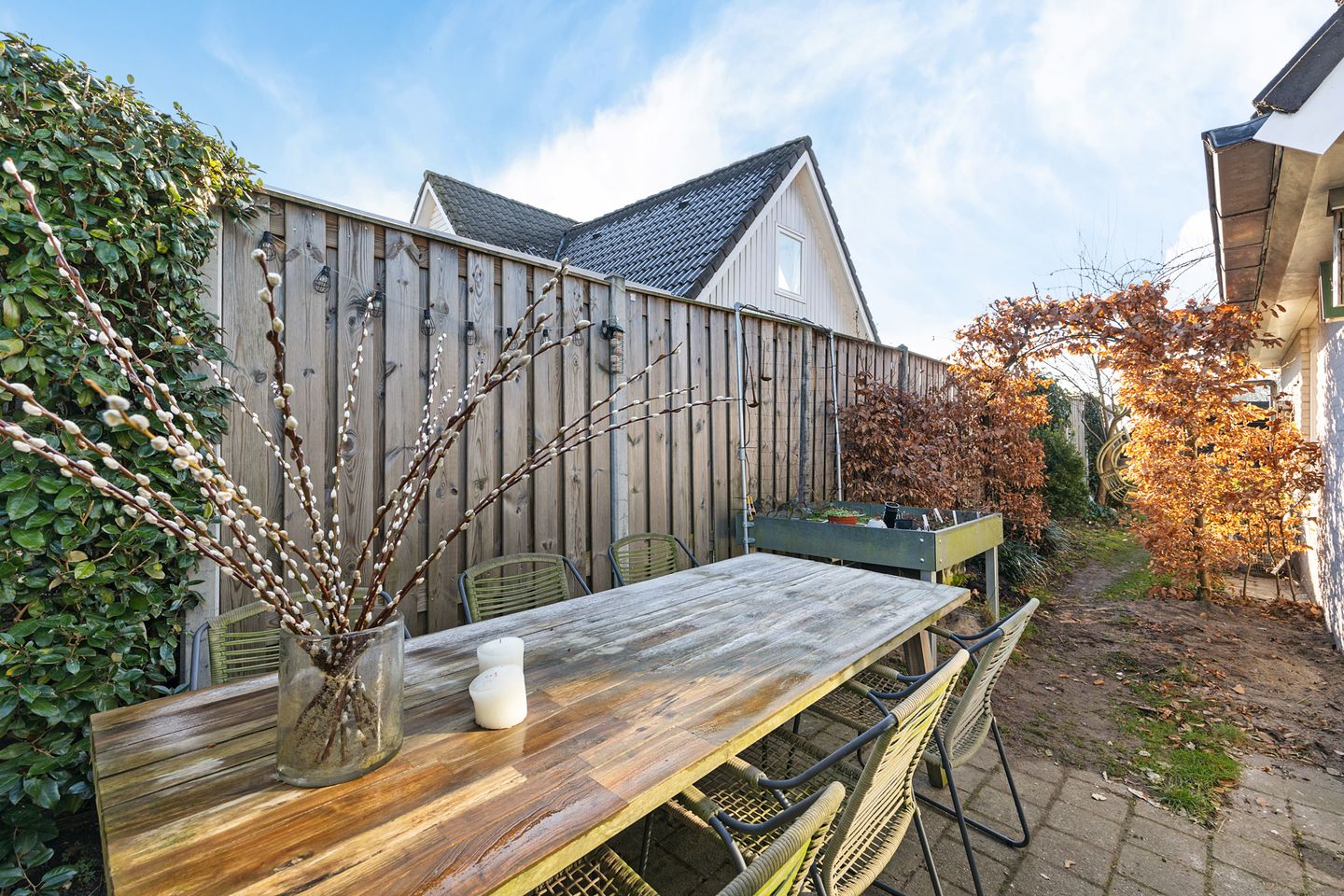 Foto 35 van Grijze Kraai 65