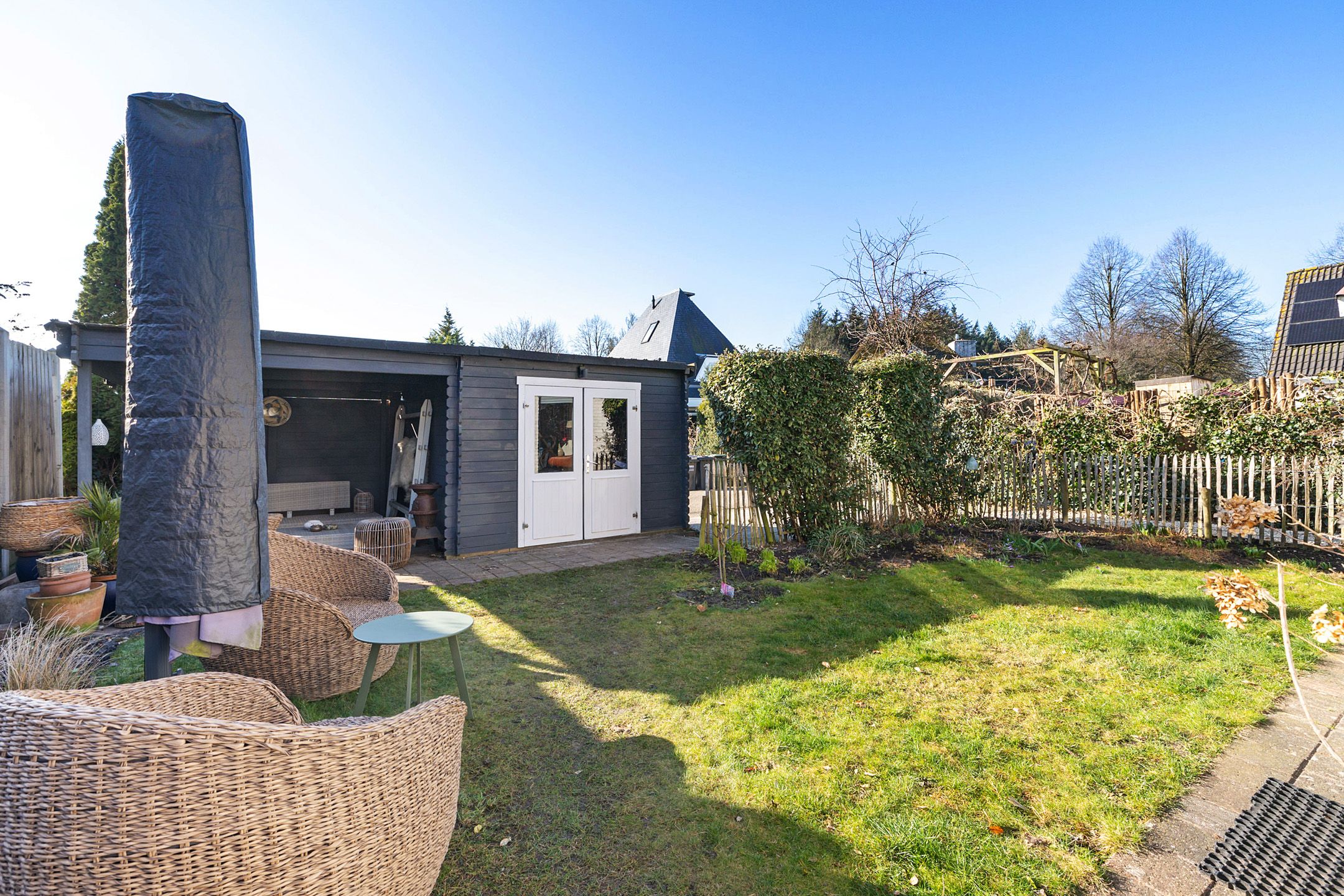 Foto 36 van Grijze Kraai 65