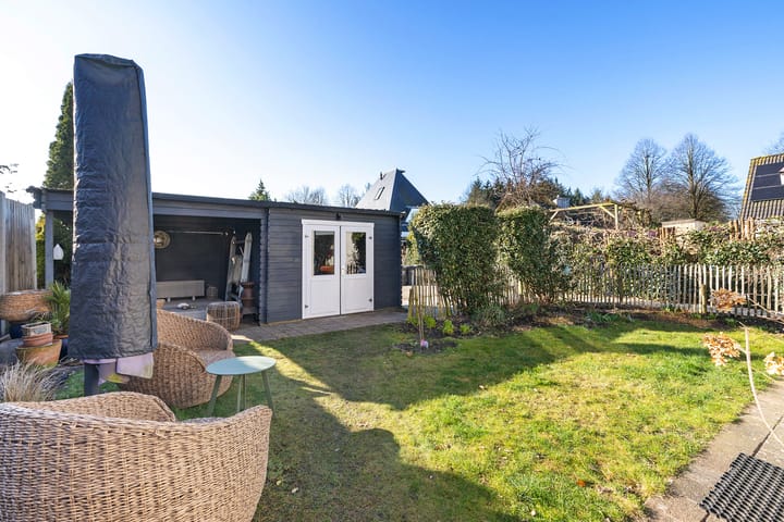 Foto 36 van Grijze Kraai 65