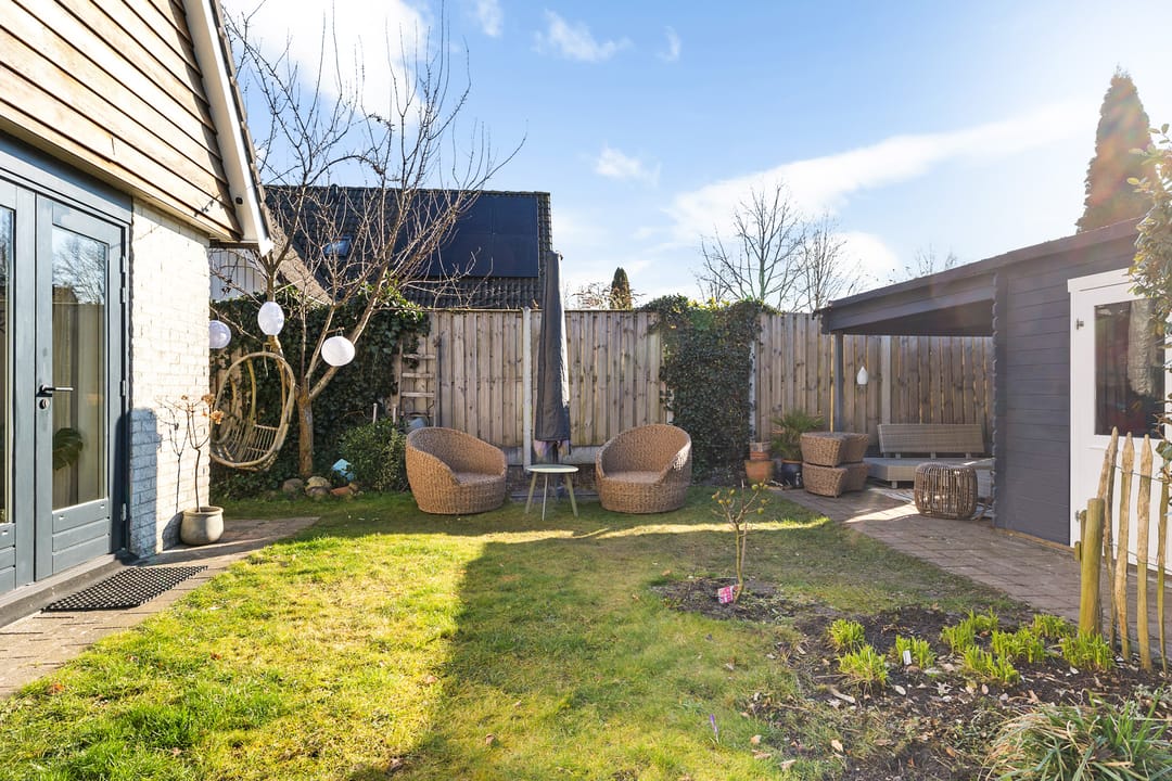 Foto 37 van Grijze Kraai 65