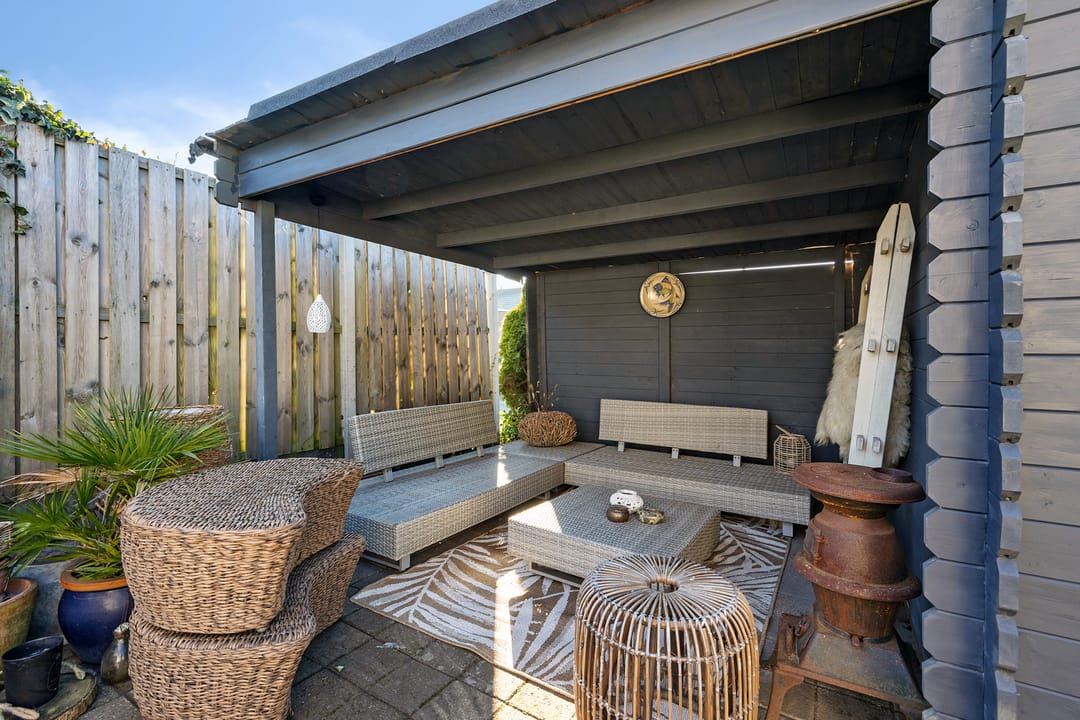 Foto 38 van Grijze Kraai 65