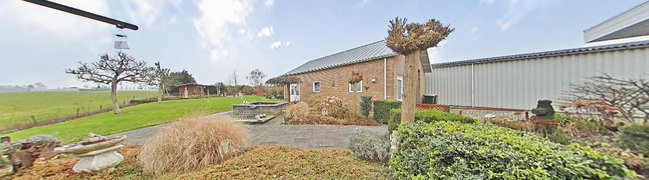 Achtertuin