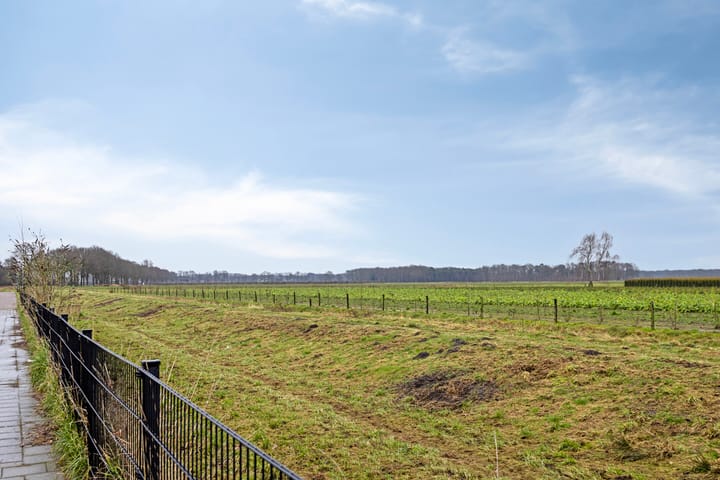 Foto 32 van Bergmolenstraat 13