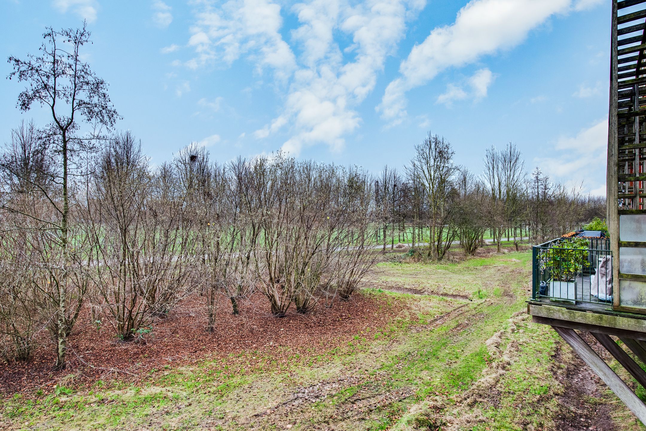 Foto 27 van Holterveste 52