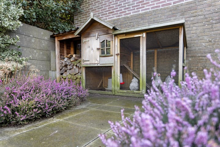 Foto 30 van Wildschutweg 5