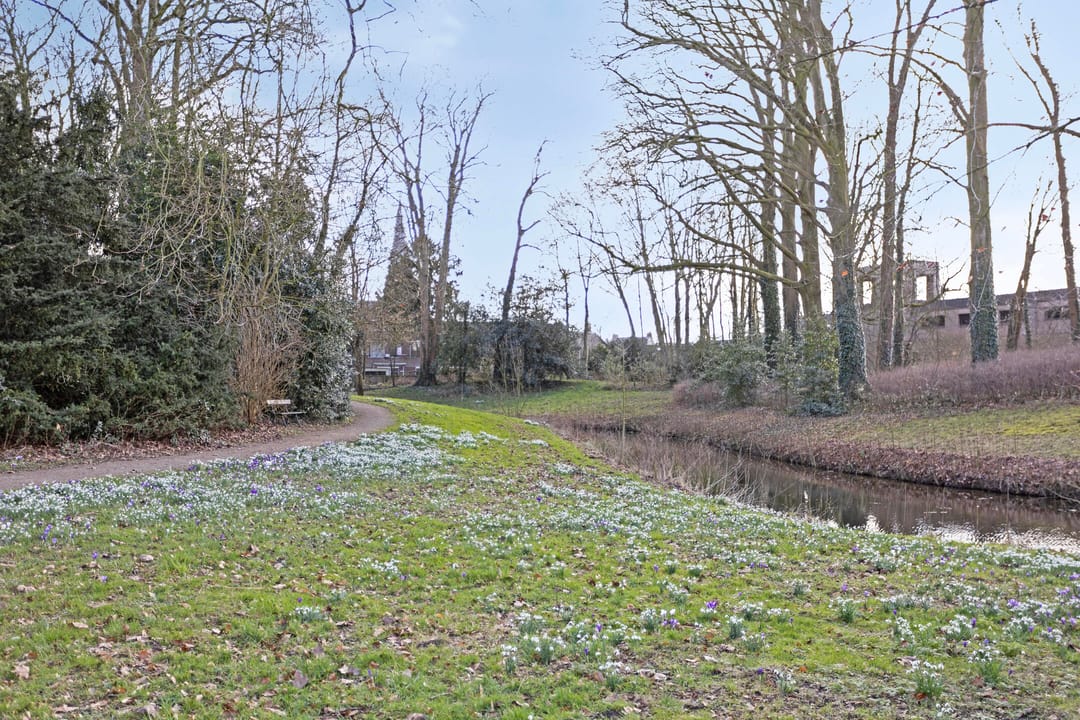 Foto 31 van Albert Cuypstraat 3