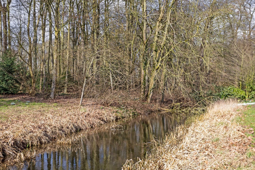 Foto 32 van Albert Cuypstraat 3