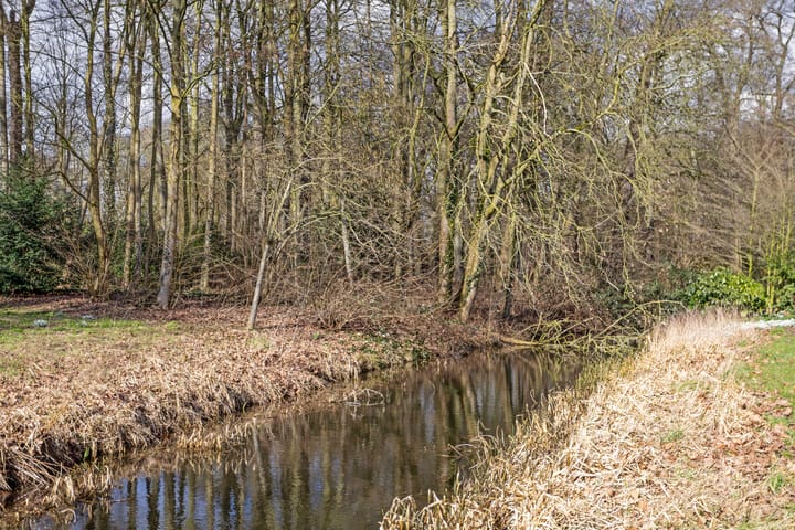 Foto 32 van Albert Cuypstraat 3