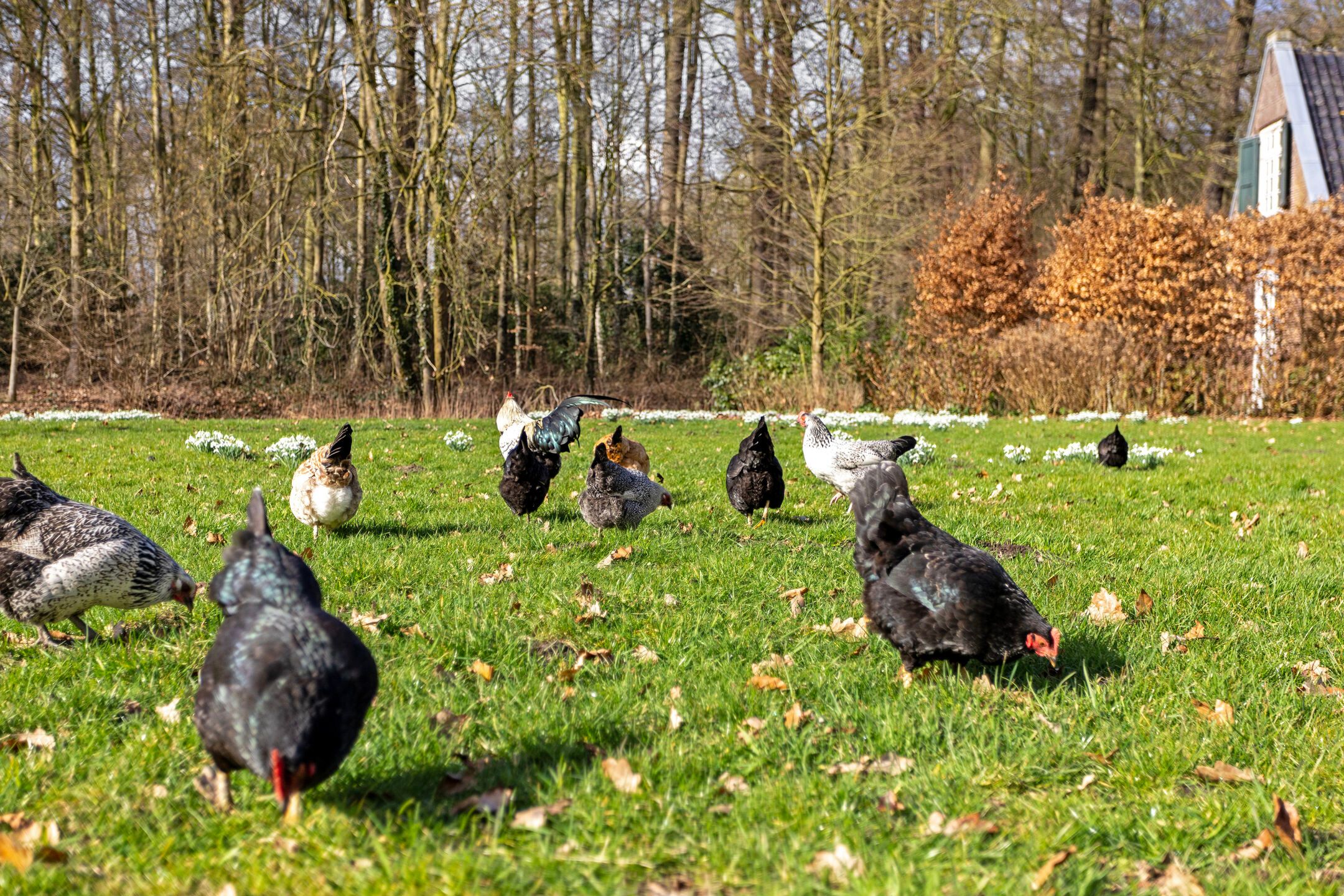 Foto 33 van Albert Cuypstraat 3