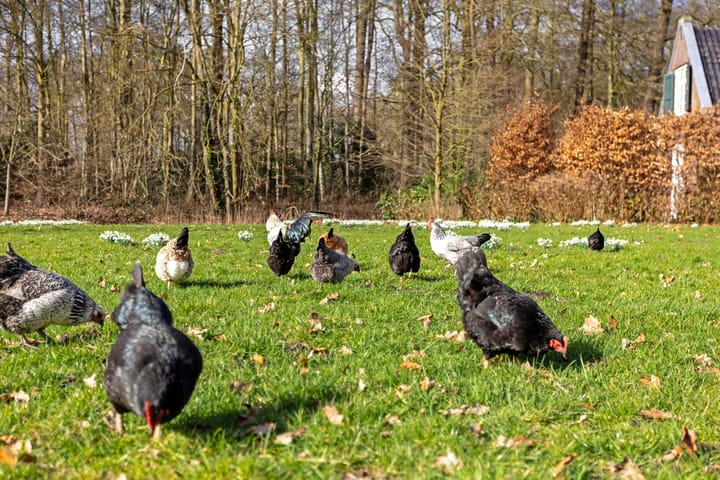 Foto 33 van Albert Cuypstraat 3