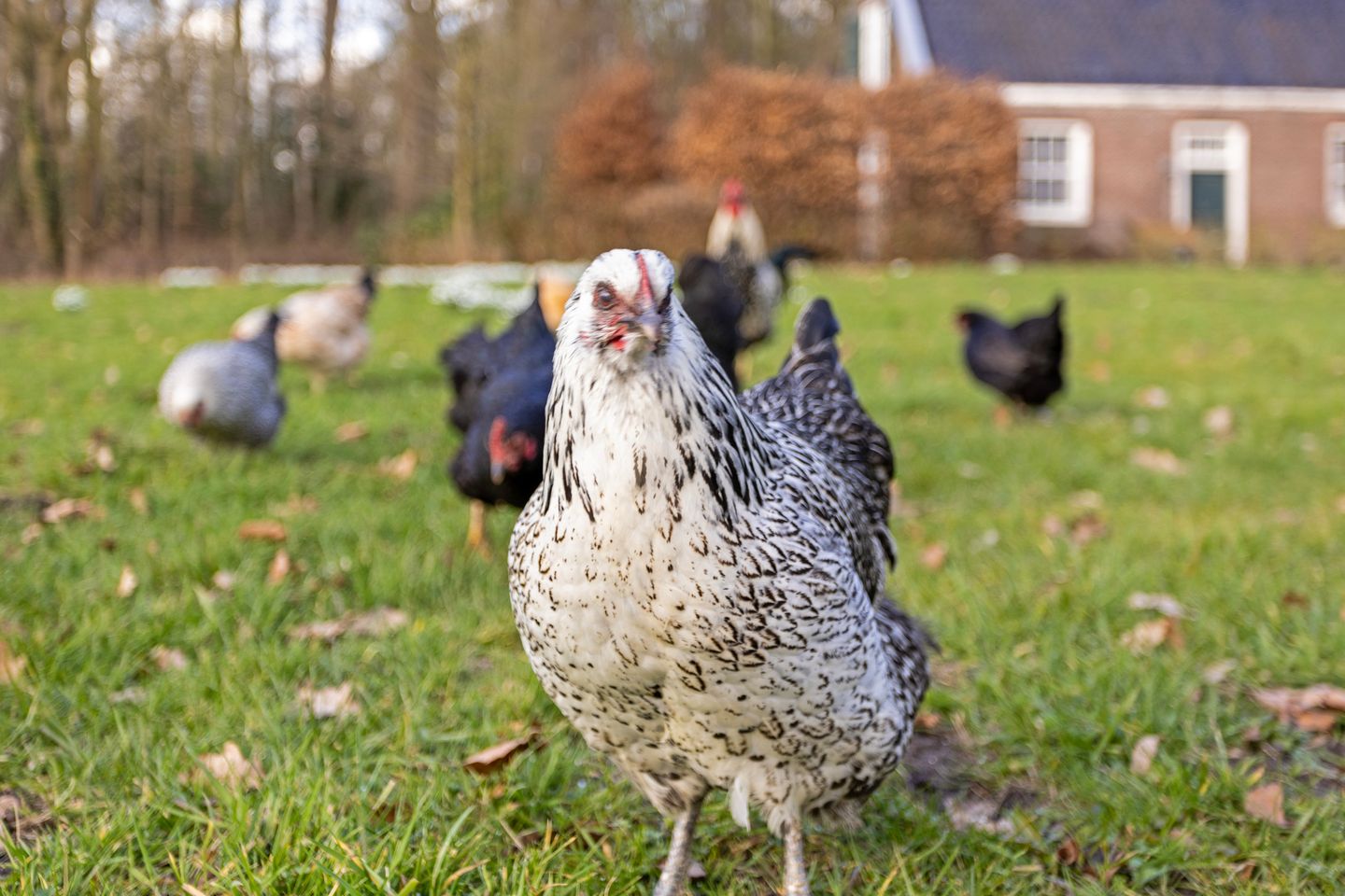 Foto 34 van Albert Cuypstraat 3