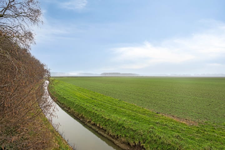 Foto 38 van Jan Willem Frisostraat 11