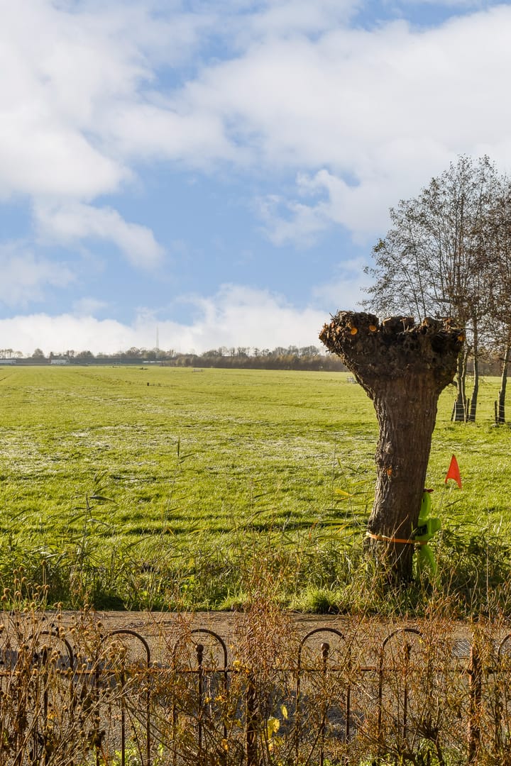 Photo 9 of Binnenweg 5