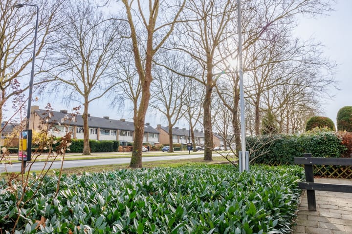 Foto 42 van Doenradestraat 42-E31