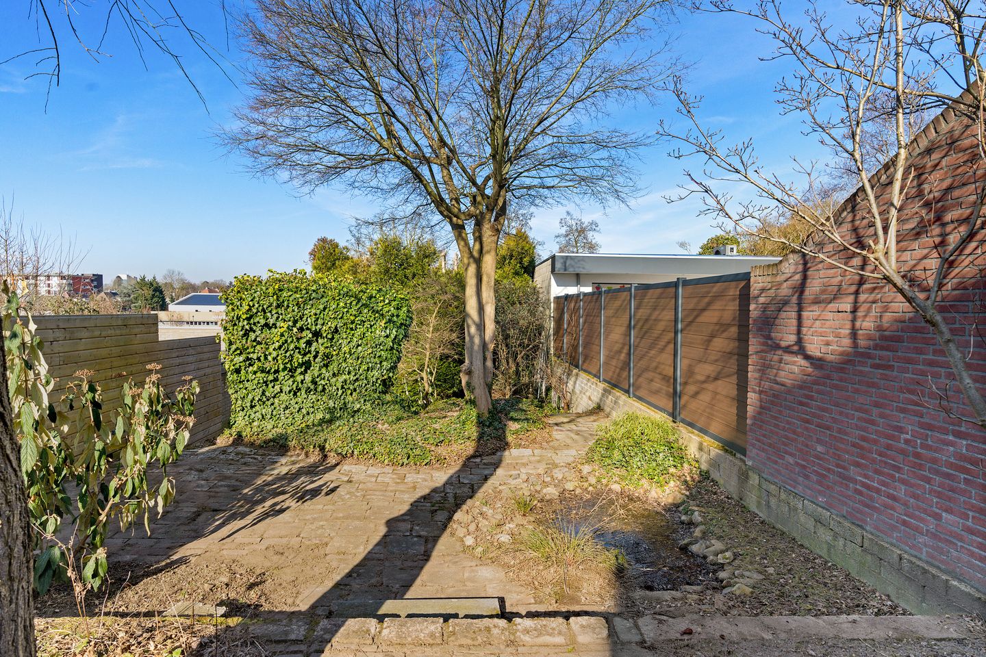 Foto 25 van Wilhelminastraat 131