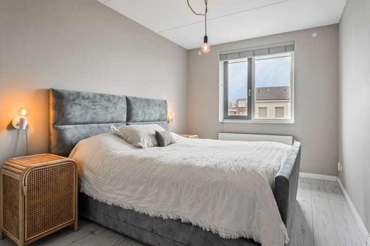 Foto 12 van Speenkruid 27